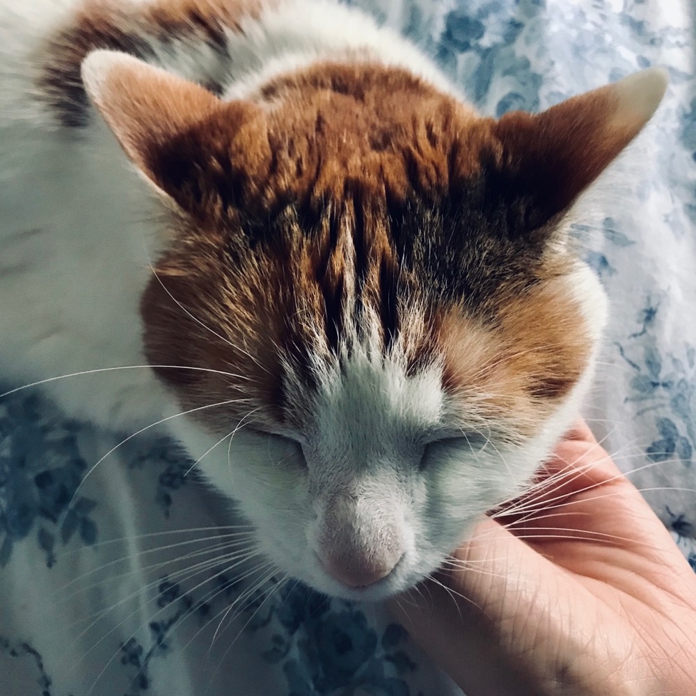 Meet your Posher, Mrs.